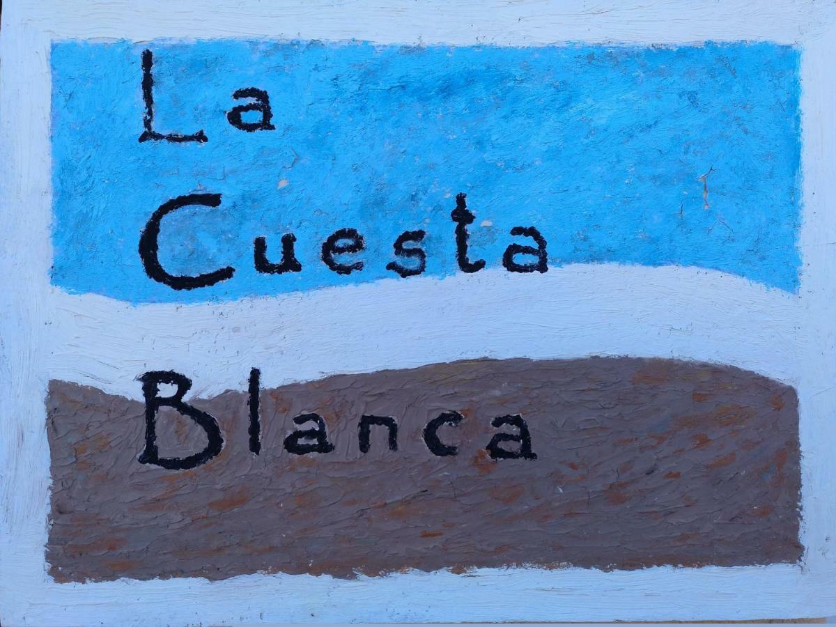 巴尔德甘加La Cuesta Blanca别墅 外观 照片